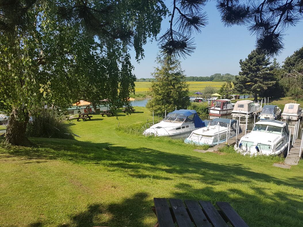 Campsite Views