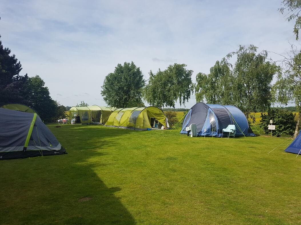 Morning at the Site