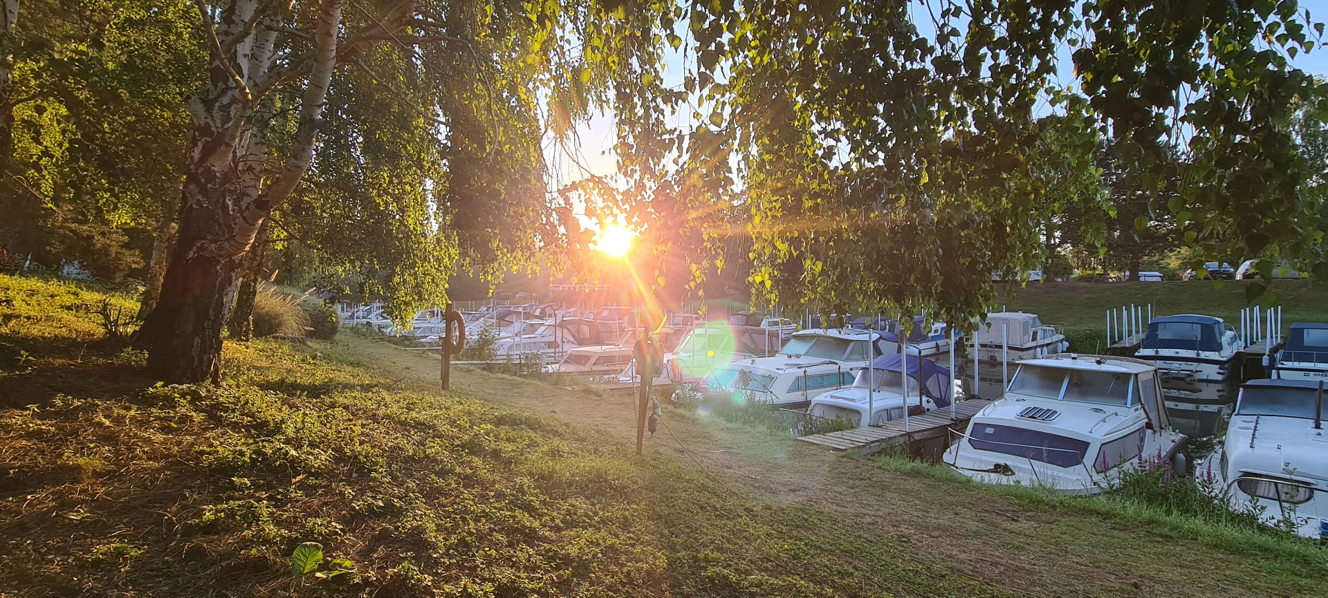 Sunset through the trees at Huntingdon Boathaven